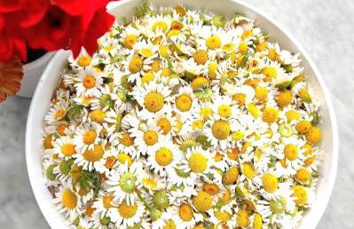 Agriturismo Podere Le Palaie - Foto 33