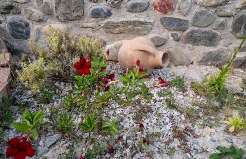 Casa Ellini unique & spacious by 8essentially - Foto 47