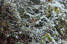 B&B La Verna - Photo 19