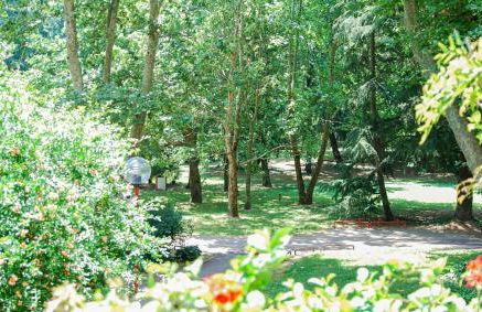 Home & Pet - Fiori - Foto 29