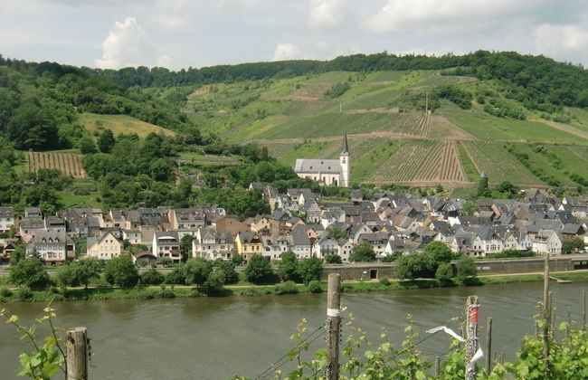 Spacious Holiday Home in Briedel Near River Mosel - Foto 27