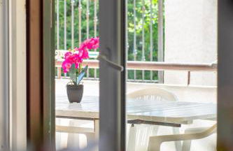 Butterfly House - Photo 17