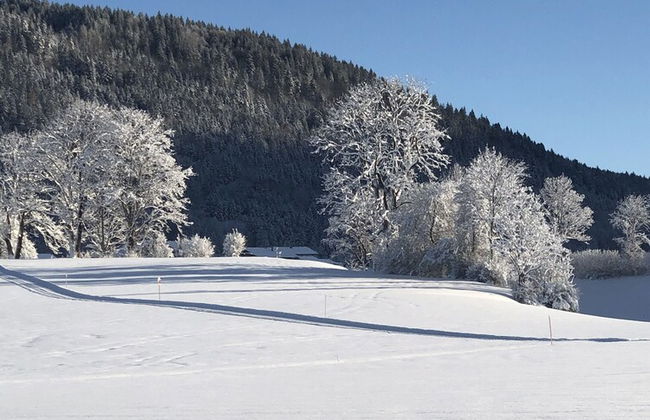 Aparthotel Chiemgaufuchs - CHIEMGAUKARTE - Foto 32