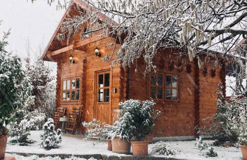 Ferienhaus Kleine Pfalz - Foto 8