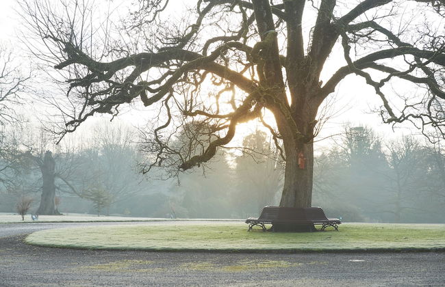 Accessible Apartment in a Newly Converted Victorian Stables - Foto 12