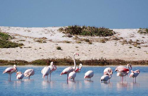 Agriturismo Sa Ruda - Foto 42