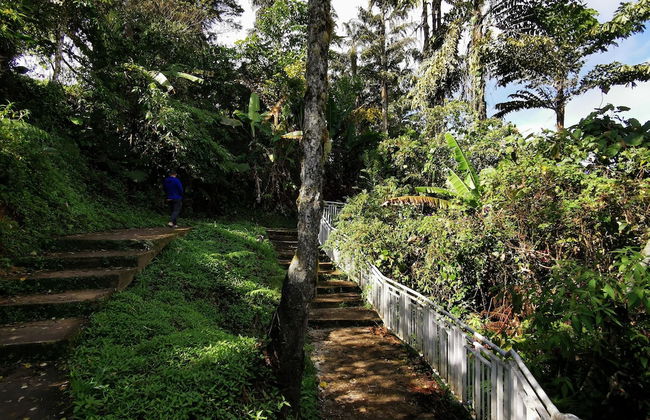 The Woodz Homestay - Foto 65