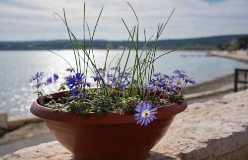 BEACH HOUSE CASKA - Photo 57