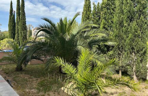 Villa Casa rosa Maria - Foto 48