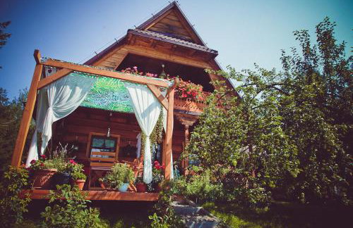 Miętowy Anioł - Foto 16