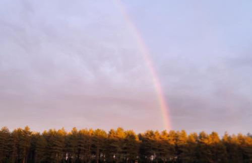 Ferienwohnung Waldrand am Niederrhein Holtwick - Foto 30