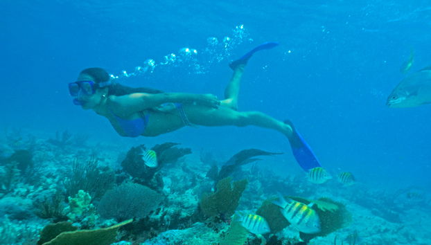 Entrée Xcaret Journée Complète - Photo 3