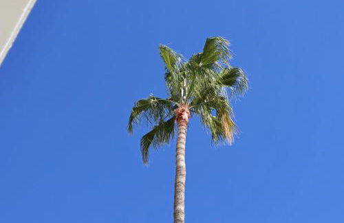 Duque Beachfront Elite - Foto 49