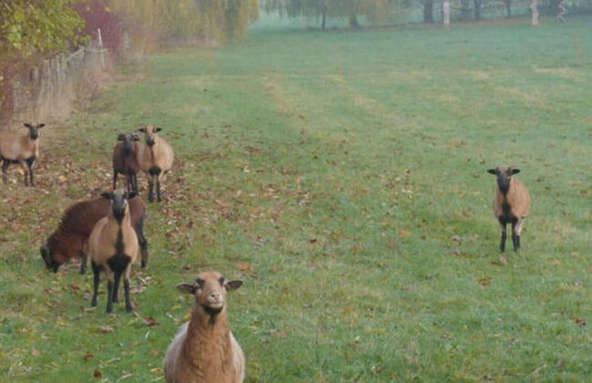 Holiday Apartment Krote 5 - Foto 32