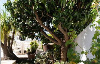 Oasis El Sauzal - Chalet con Piscina y Encanto - Foto 58