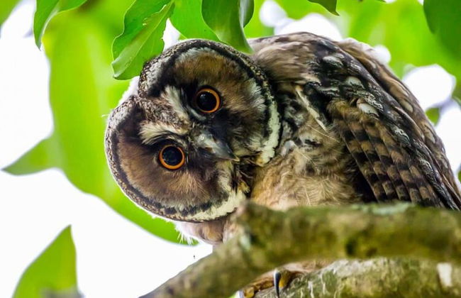 Apartment in the Fortified With Private Garden - Photo 62