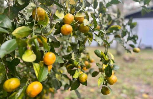 Country Welcome - Foto 39