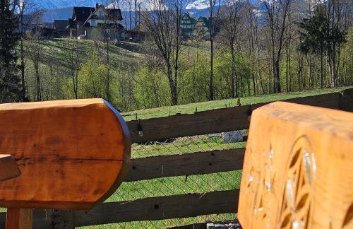 Góralska Chatka 2 Highland Cottage - Split AC, Jacuzzi, Sauna, Private parking, Mountains View, Garden, Zakopane - Photo 16