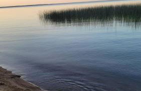 Lakeside Mille Lacs Cabin - Foto 8