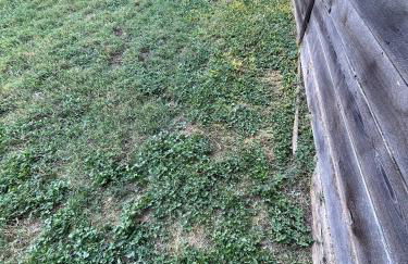 Modern Home In North-central Austin - Foto 32