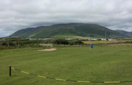 Herdwicks - Foto 148