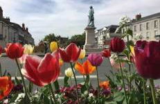 F2 Rez de Chaussée Ô meublé de Pithiviers - Photo 8