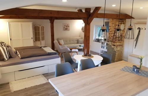 Stilvolle, voll ausgestattete Einraum-FeWo auf dem Kastanienhof Oetzen - Foto 3