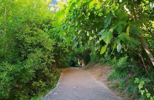 Las Casicas del Tío Ángel-B - Foto 19