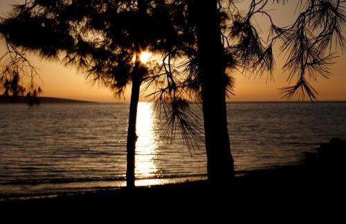 Bura house - Foto 21