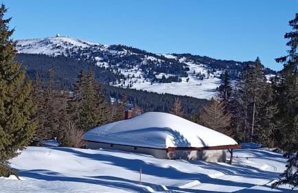 Le Repaire du Loup blanc - Foto 24