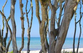 Haus am Meer bitte sehr ! - Foto 14