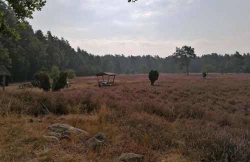 Strohböhn - Foto 24