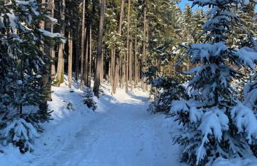 Schöne Ferienwohnung in Schauenstein-Hof im Frankenwald mit Loggia 100qm - Foto 40