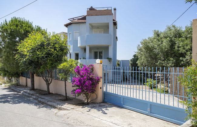 Garden House in Anavyssos - Photo 12