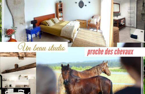 Studio du domaine équestre B & G - Foto 1