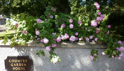 Country Garden House Holiday Homes - Foto 1, Garden, Garden view
