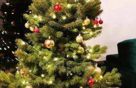 Widokowo - Domki z widokiem na Śnieżkę z Jacuzzi i Sauną - Photo 13