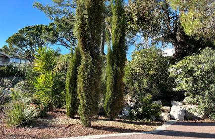 Studio Riviera de Bahia - Photo 24