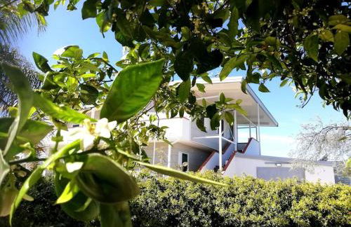 Panoramico, in villa, grande, con ampie terrazze - Foto 75