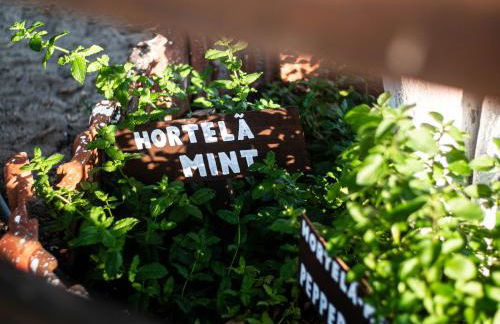 Vila Natura - Foto 73