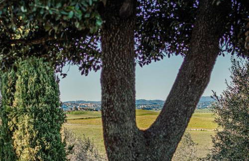 Golden View-Casa vacanze appena ristrutturata nel core della campagna toscana - Foto 15