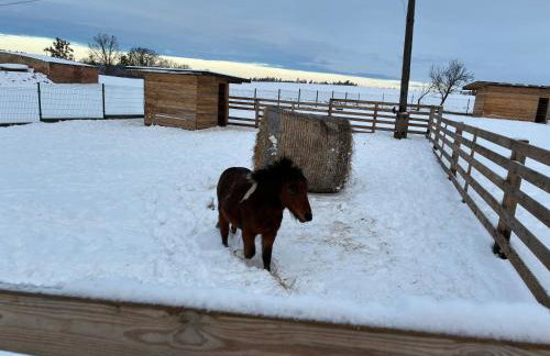 Chata Smarzewo - Foto 6