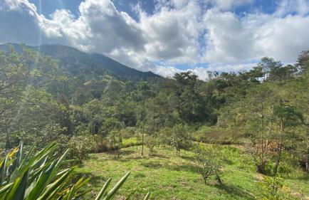 Chalé Aconchegante, Paz e Natureza - Foto 4