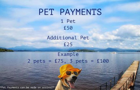 Skyline Lodge Loch Lomond Castle Lodges - Foto 2