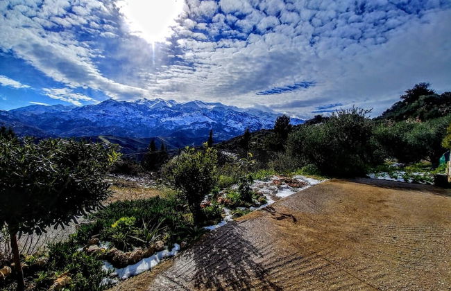 Thymes Traditional House - Foto 33