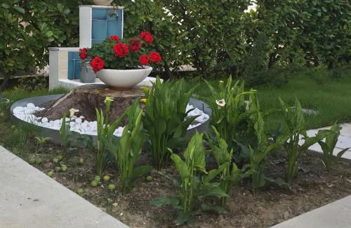 VECCHIA FAVOLA HOUSE - Foto 69