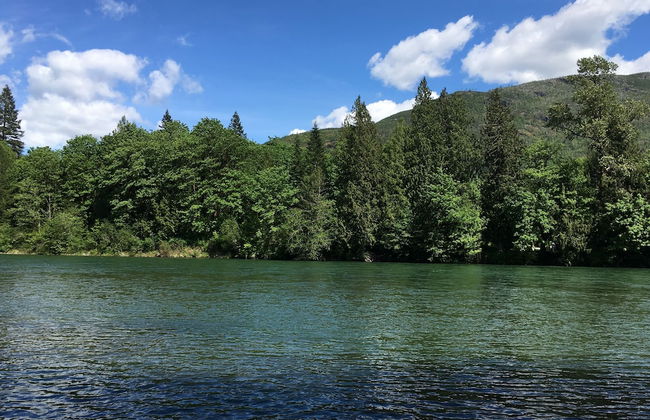 Glacier Peak Resort - Photo 76