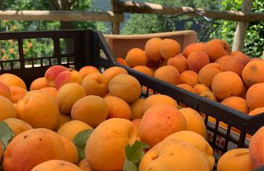 Agriturismo La Terrazza su Farfa - Foto 76