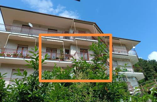 Ilgattonero - Foto 16