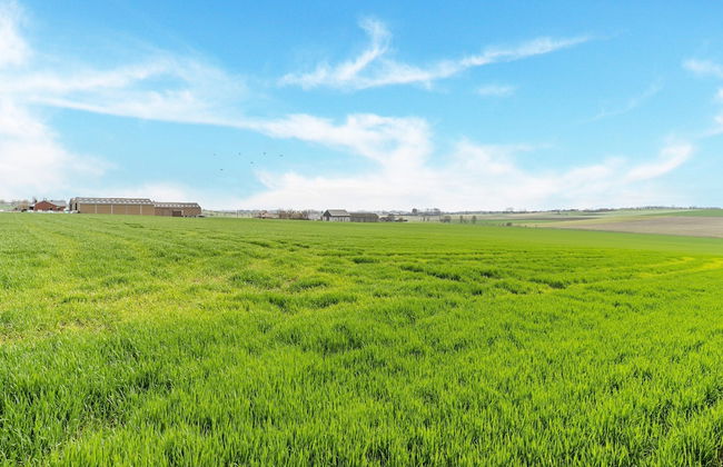 Pet-friendly Retreat - Foto 41